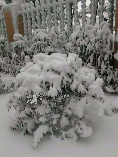 雪景 雪景
